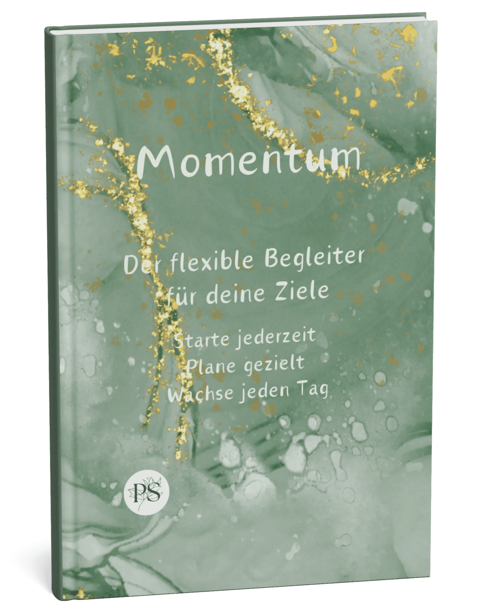 Momentum